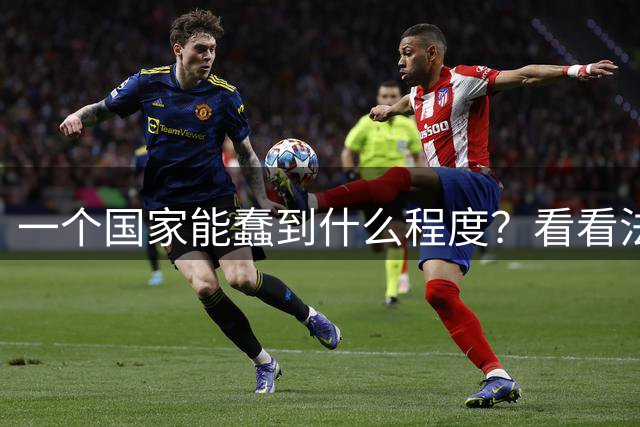 一个国家能蠢到什么程度？看看法国就明白了：法国黑人接近800万，巴黎新生儿里70%是黑人