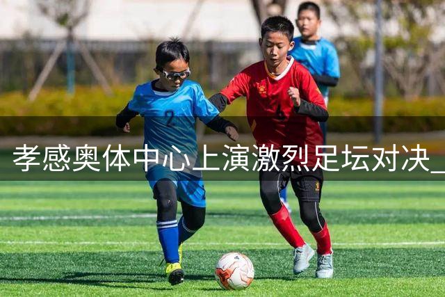 孝感奥体中心上演激烈足坛对决 警方立体防控体系护航赛事安全