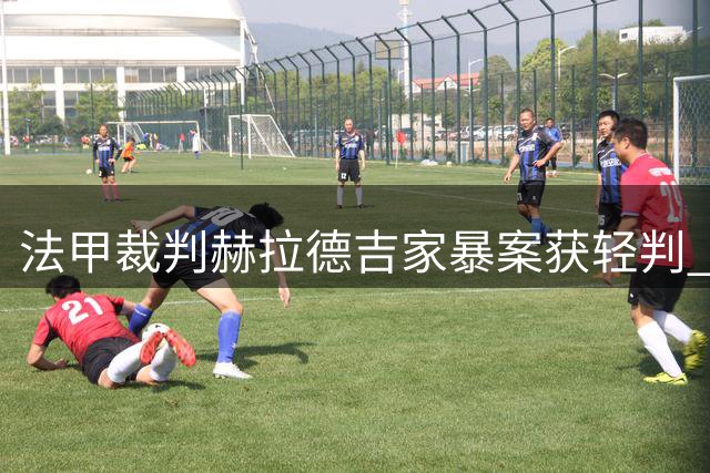 法甲裁判赫拉德吉家暴案获轻判 职业生涯或受影响