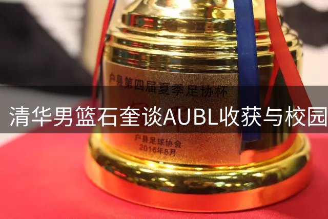 清华男篮石奎谈AUBL收获与校园篮球生涯感悟